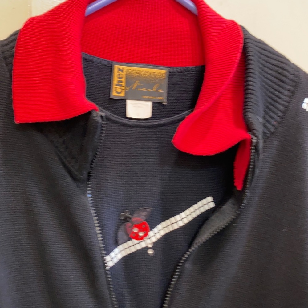 Lady Bug Sweater Set